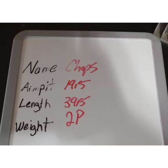 Ladies 16 Chaps Sleeveless Green Checkered Dress Career Work Office Interview - Picture 7 of 7